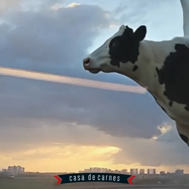 Vaca de fibra na orla de Santos